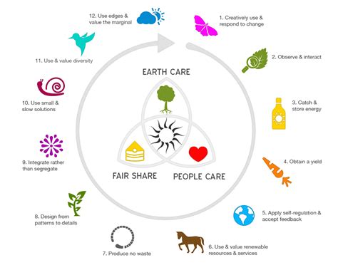 Principles-of-Permaculture – Zachary Berger Associates, Ltd.