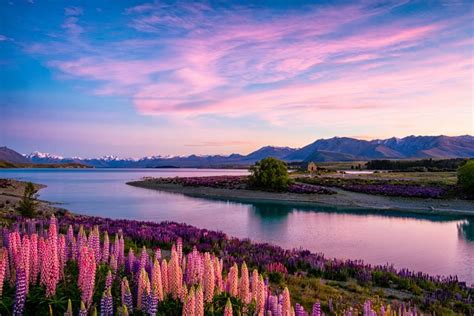 Most picturesque Lake Tekapo - Scenic Hunter