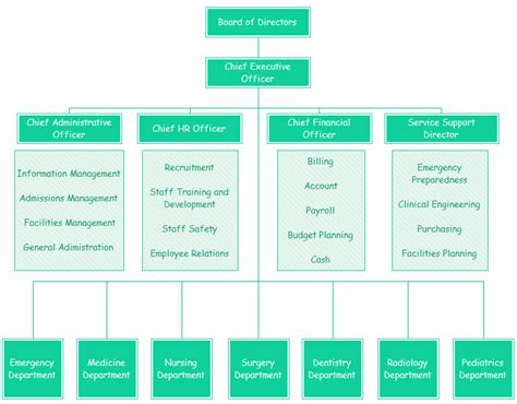 Hospital Org Chart | Organizational chart, Chart, Training, development