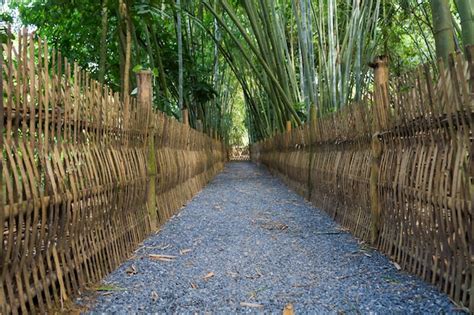 Premium Photo | The bamboo forest path in phatthalung thailand