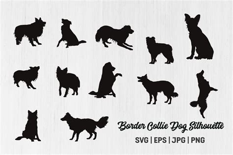 Border Collie Dog Silhouettes Graphic by Design_Lands · Creative Fabrica