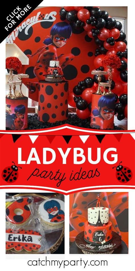 Miraculous Lady Bug / Birthday "Erika’s 6th bday party " | Catch My ...