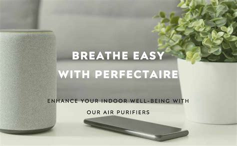 Air Purifier Benefits: Enhancing Indoor Well-Being