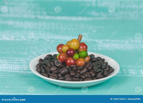 Fresh Coffee Beans on Dry Coffee Beans Stock Photo - Image of ripe, leaf: 166313226