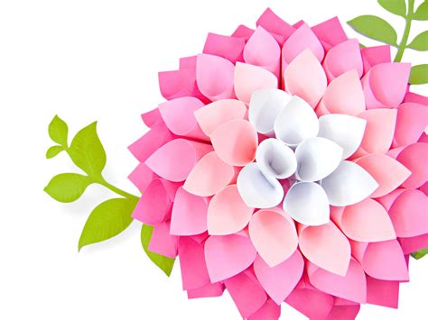 Dahlia Paper Flower Template A03