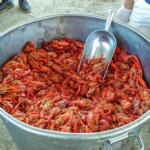 Best of Guide: Crawfish | NewOrleansRestaurants.com