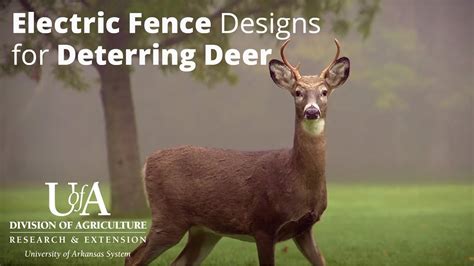 Electric Fence For Garden With Deer | Fasci Garden