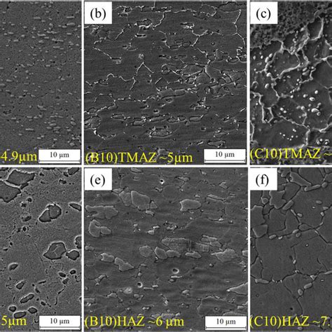 Microstructure of heat affected zone. | Download Scientific Diagram