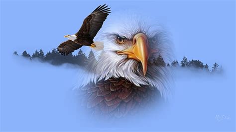 Supreme Eagle, USA, patriotic, regal, eagle, dom, America, collage, trees, United States, HD ...