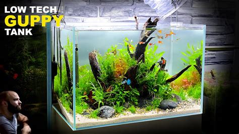 THE GUPPY TANK: LOW TECH, LOW BUDGET, AQUASCAPE TUTORIAL - YouTube