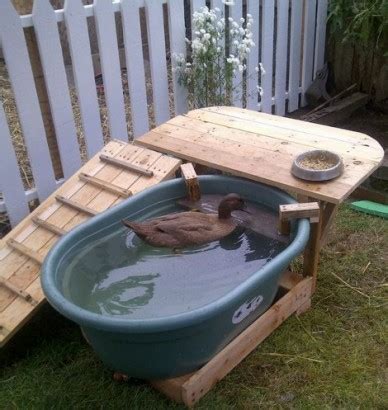 Backyard Duck Habitat | How To Build A Duck Deck - Homestead & Survival