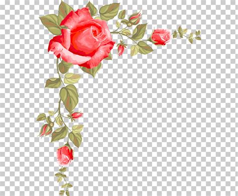 Rose Border Drawing at PaintingValley.com | Explore collection of Rose ...