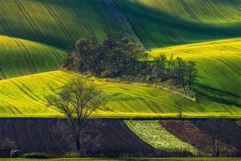 Moravian island | Wonders of the world, Moravia, Nature pictures