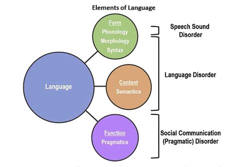 Introduction to Language Disorder