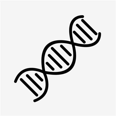 Clipart, Dna E Rna, Icones Facebook, Dna Tattoo, Tattoos, Dna Drawing, Dna Logo, Dna Genetics ...