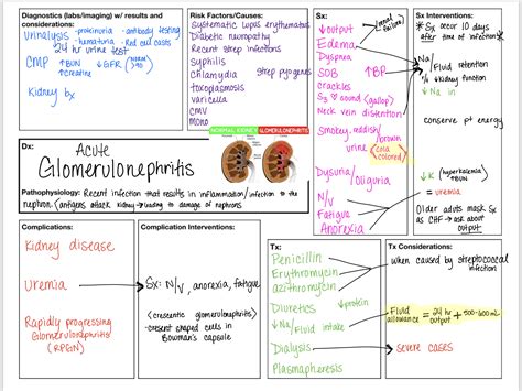 Acute glomerulonephritis concept map for nursing | Nursing school scholarships, Concept map ...