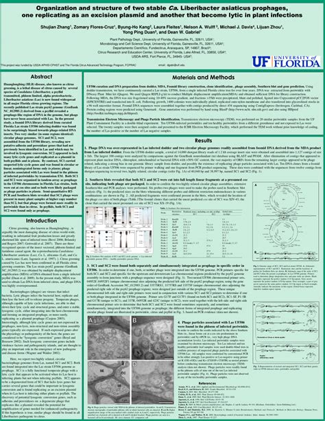 (PDF) Organization and structure of two stable Ca. Liberibacter ...