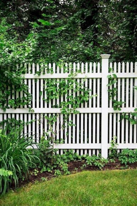 White Fence Ideas: 25+ Most Inspiring Designs to Brighten Your Home