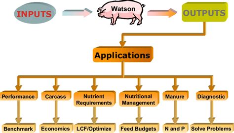 Summary of the commercial applications of Watson ® . | Download ...