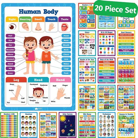 Amazon.com: 20 Classroom Educational Posters For Preschoolers Toddlers Kindergarten Elementary ...