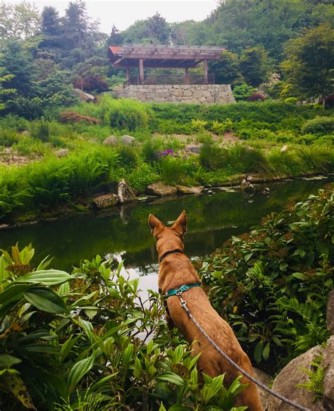 Kubota Gardens — Washington Trails Association