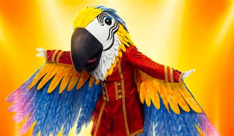 The Masked Singer Macaw guesses - GoldDerby