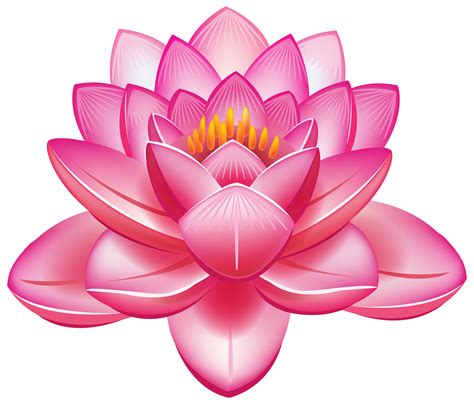 Lotus Flowers Lotus Clipart Flowers Lotus Png Transparent Clipart ...