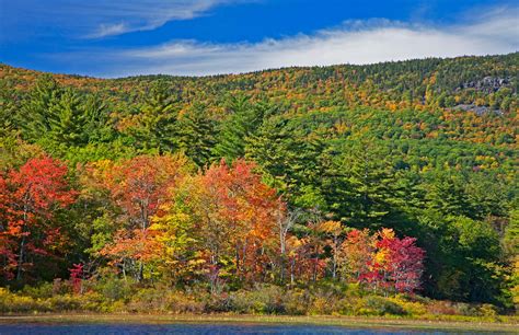 Get Nearer to Nature | Squam Lakes Natural Science Center