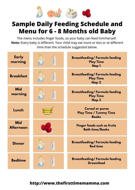 Feeding Chart For 6 Month Old Baby