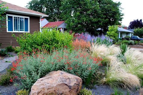 Drought Tolerant Landscape Design – Madison Art Center Design