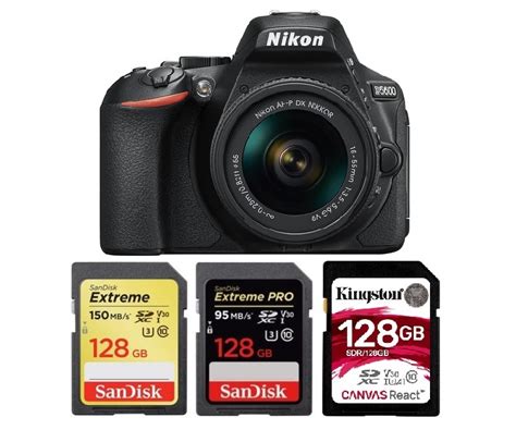 Best Memory Cards for Nikon D5600 – Camera Ears