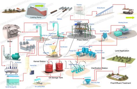 Palm oil mill process flow diagram introduction_Palm Oil Extraction FAQ ...