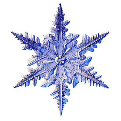 Transparent GIF Sticker - Find & Share on GIPHY | Snowflakes, Christmas ...