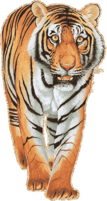 Animated Tiger Gif