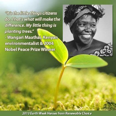 wangari maathai quotes - Google Search | Earth week, Inspirational people, Earth