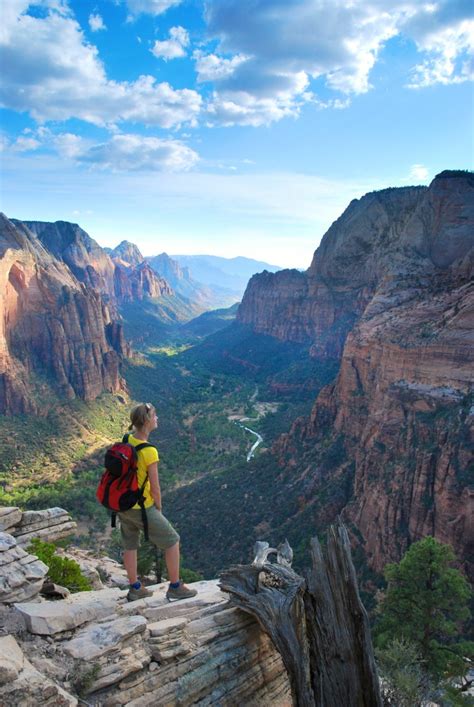 The Don'ts of Zion National Park RV Camping - Drivin' & Vibin'