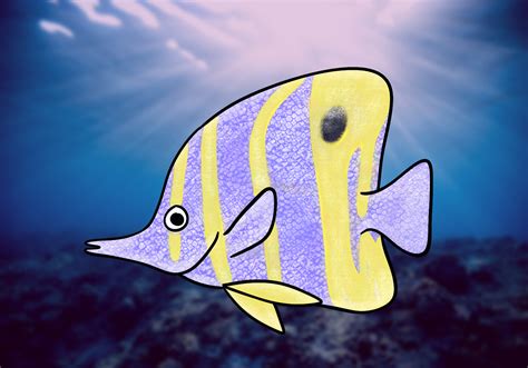 How to Draw a Fish | Design School