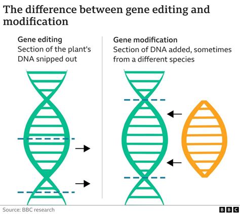 TALA COMMUNITY NEWS: UK GOVERNMENT SENDS GENE-EDITED FOOD BILL TO ...