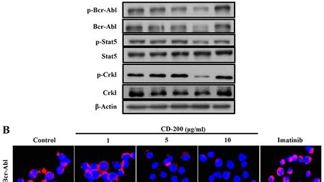 Imatinib - Imatinib Side Effects - Effect Choices