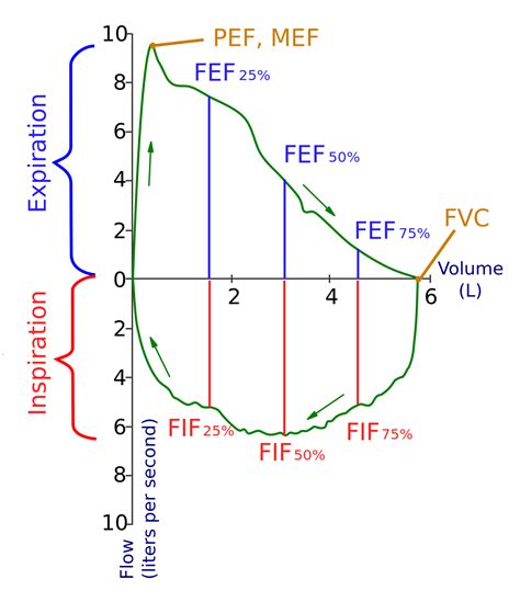 Spirometry - Wikipedia