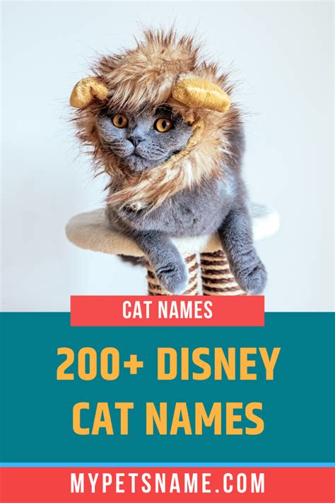 Disney Cat Names | Disney cat names, Cat names, Girl cat names