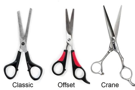 6 Different Types of Hair Cutting Scissors and Their Uses – HairstyleCamp