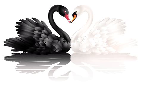 Swan clipart heart pictures on Cliparts Pub 2020! 🔝