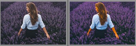 Vibrance vs Saturation in Photography (Which One to Use)