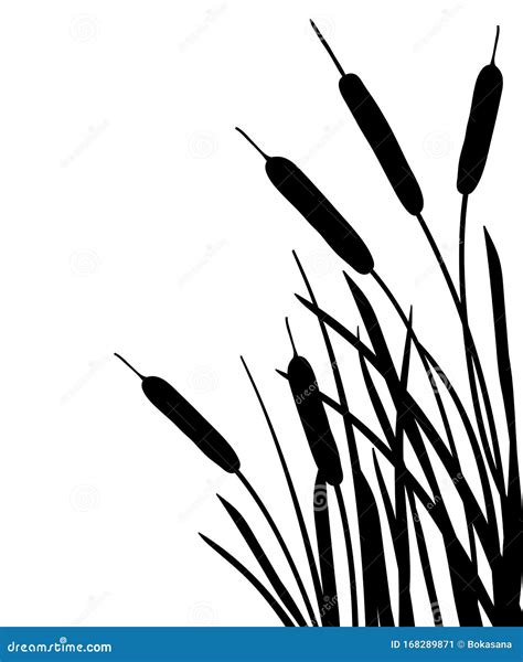 Bulrush Cartoons, Illustrations & Vector Stock Images - 2350 Pictures ...