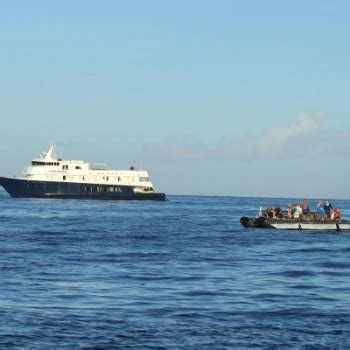 Hawaiian Seascapes | UnCruise Adventures | Island cruises, Hawaiian islands, Kona coast