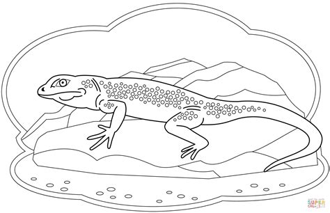 Lizard coloring page | Free Printable Coloring Pages