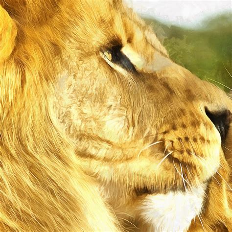 Lion Kissing Lioness Canvas Large Art painting Lions in Love | Etsy