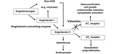 Mechanism of action of valsartan. Abbreviations: ACE, angiotensin ...