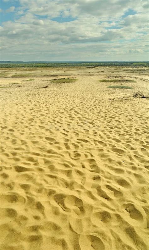 Desert In Poland - The Largest Desert In Europe Stock Image - Image of ...